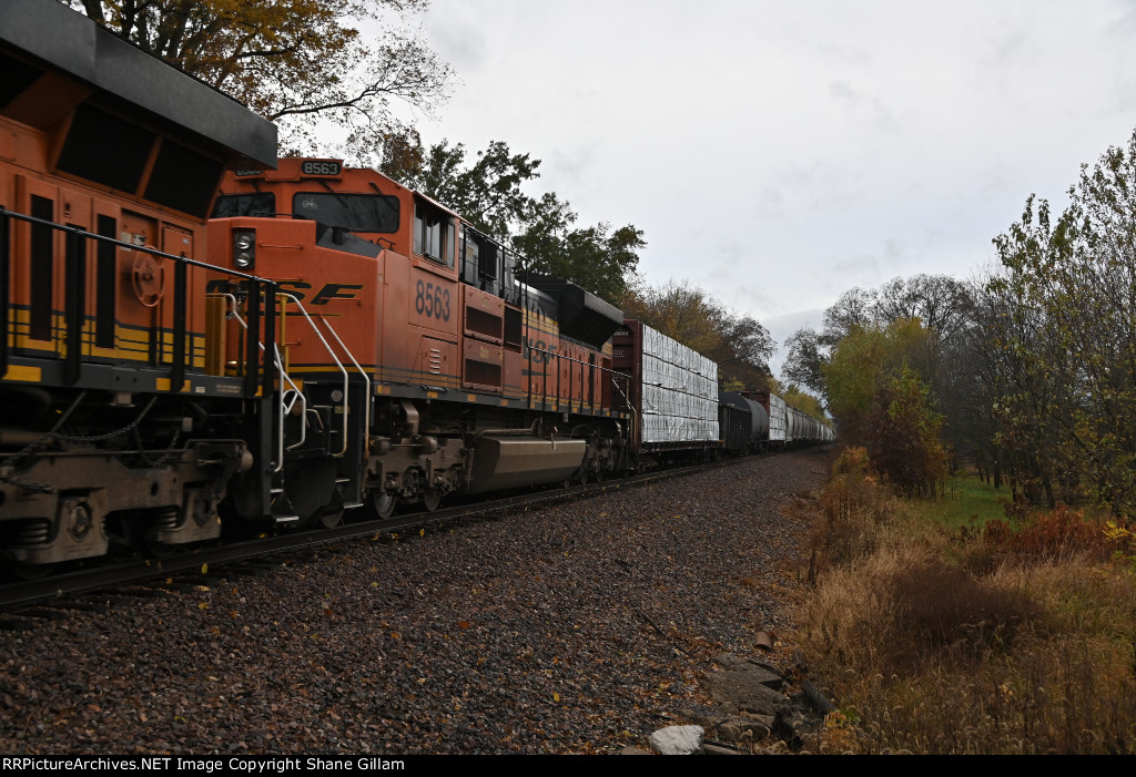 BNSF 8563 Roster shot